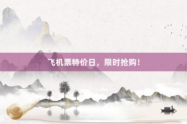 飞机票特价日，限时抢购！