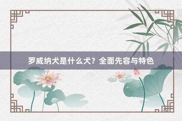 罗威纳犬是什么犬？全面先容与特色