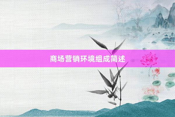 商场营销环境组成简述